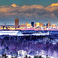 Buffalo From Chestnut Ridge