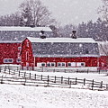 Knox Farm Snowfall