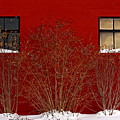 Winter Sky Reflection